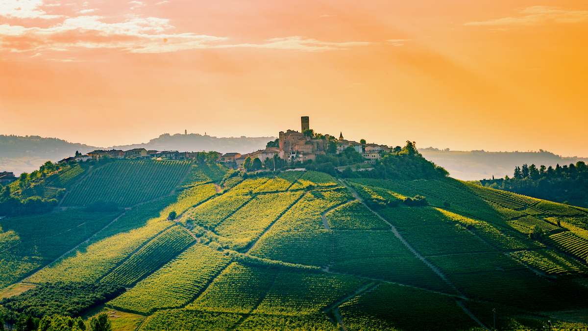 Nebbiolo